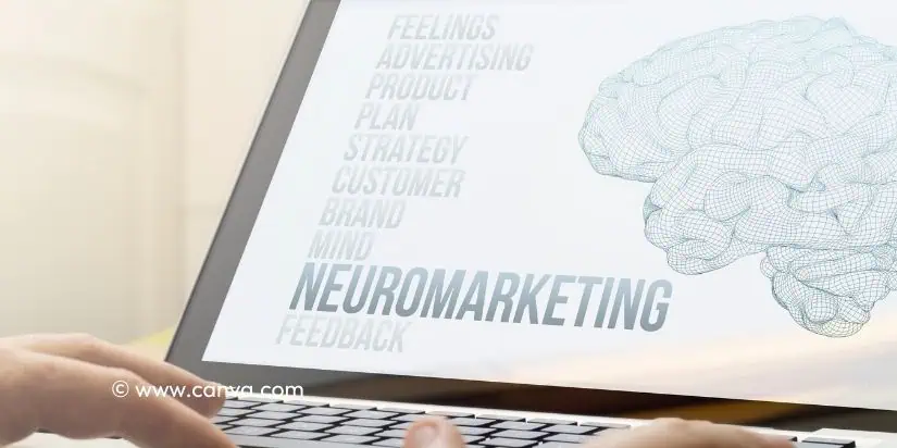 Neuromarketing kann Ihrer Website helfen!